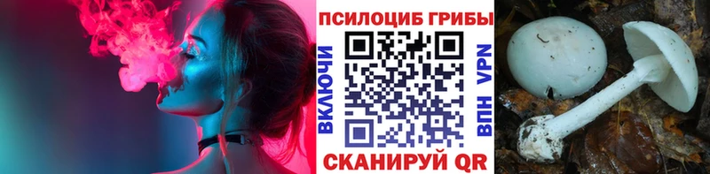 Псилоцибиновые грибы GOLDEN TEACHER  Купить закладки  Таруса 